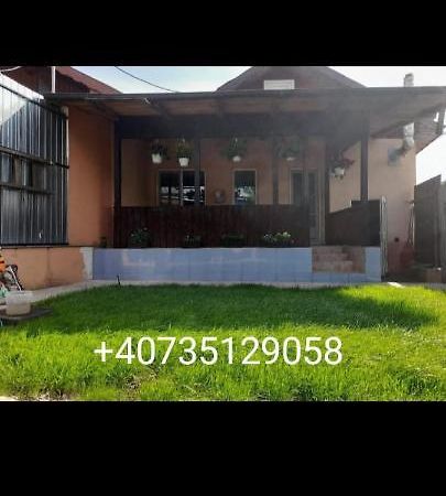 Central City House Tulcea Esterno foto