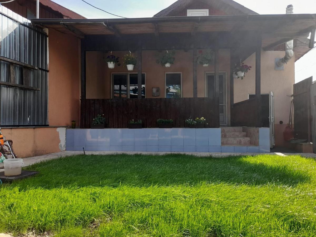 Central City House Tulcea Esterno foto