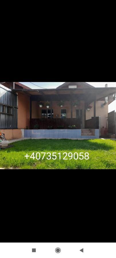 Central City House Tulcea Esterno foto